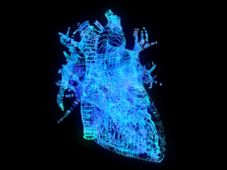 3d rendered illustration of a plexus heartの写真素材