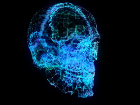 3d rendered illustration of a plexus skullの写真素材
