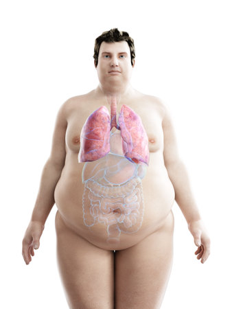 3d rendered medically accurate illustration of an obese mans lungsの写真素材