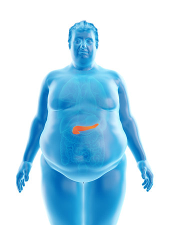 3d rendered medically accurate illustration of an obese mans pancreasの写真素材