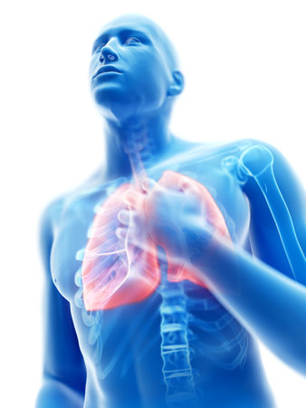 3d rendered illustration of a man having an inflamed lungの写真素材