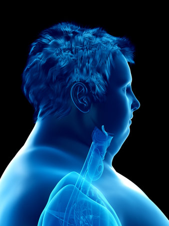 3d rendered medically accurate illustration of an obese mans throat anatomyの写真素材