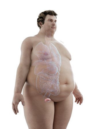 3d rendered medically accurate illustration of an obese mans bladderの写真素材
