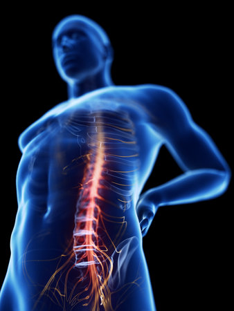 3d rendered illustration of a man having backache