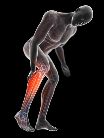 3d rendered illustration of a man having a painful calfの写真素材