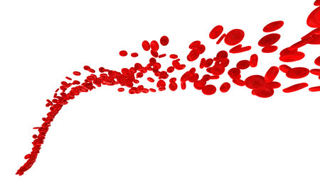 3d rendered medically accurate illustration of human blood cellsの写真素材