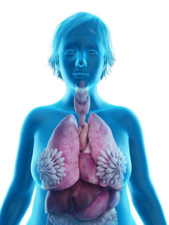 3d rendered medically accurate illustration of an obese womans internal organsの写真素材