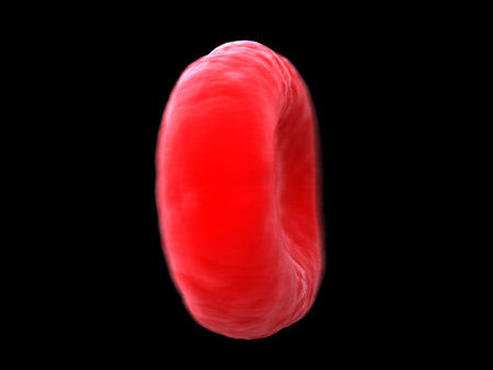 3d rendered medically accurate illustration of a human blood cellの写真素材