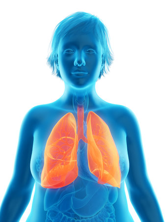 3d rendered medically accurate illustration of an obese womans lungの写真素材