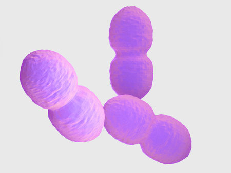 3d rendered medically accurate illustration of an enterococcus bacteria