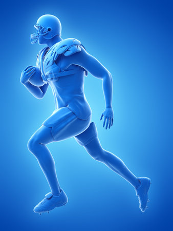 3d rendered medically accurate illustration of an american football playerの写真素材