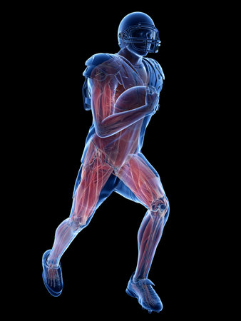 3d rendered medically accurate illustration of the muscle system of an american football playerの写真素材