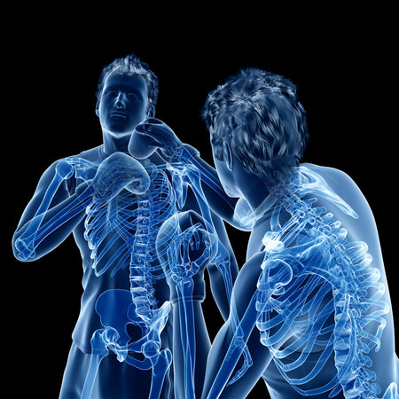 3d rendered medically accurate illustration of two boxing menの写真素材