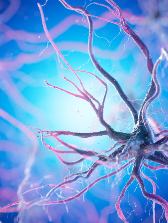 3d rendered illustration of a human nerve cell