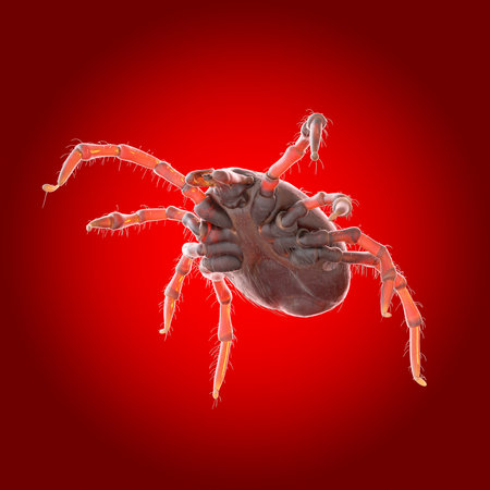 3d rendered illustration of a tick on a red background