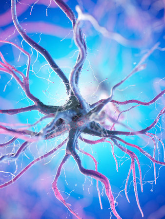 3d rendered illustration of a human nerve cell