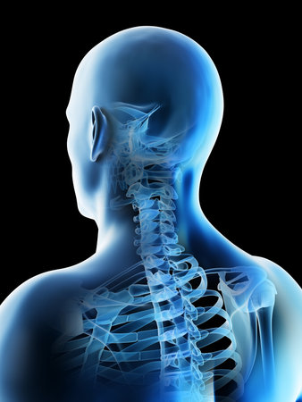 3d rendered illustration of a mans skeletal anatomy of the head and neck