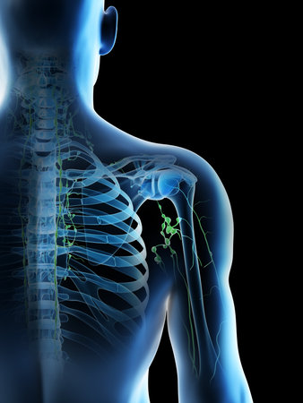 3d rendered illustration of a mans lymph nodes of the shoulder area