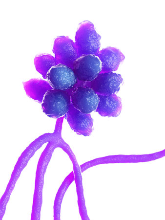 3d rendered illustration of the mold - stachybotrys