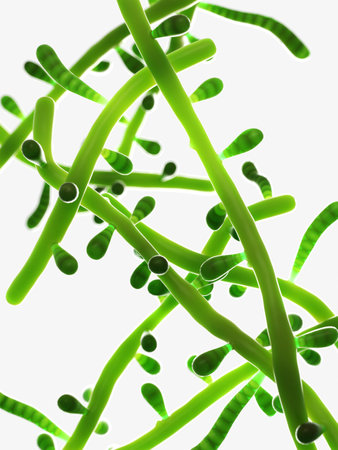 3d rendered illustration of the mold - trichophyton