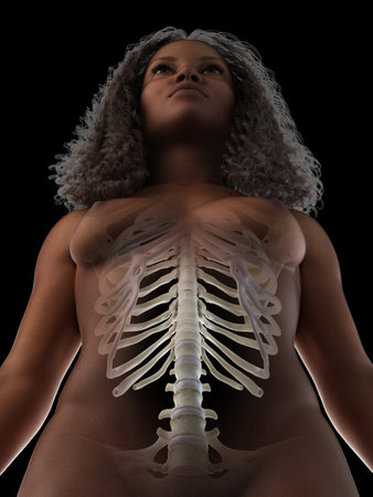 3d rendered medically accurate illustration of a black femalesの写真素材
