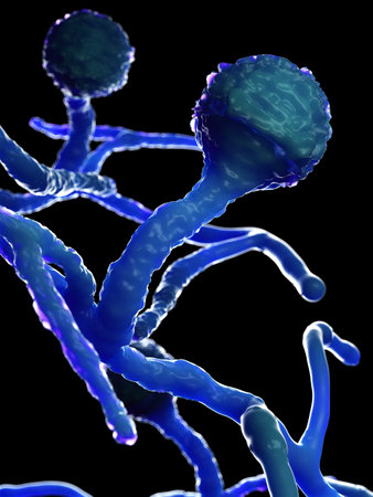 3d rendered illustration of the mold - mucor