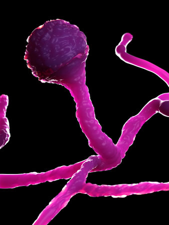 3d rendered illustration of the mold - mucor