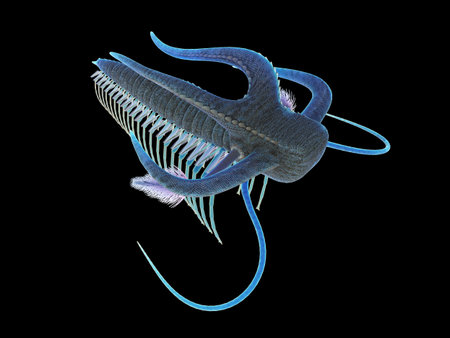 3d rendered illustration of a pre-historic marine creature - marella