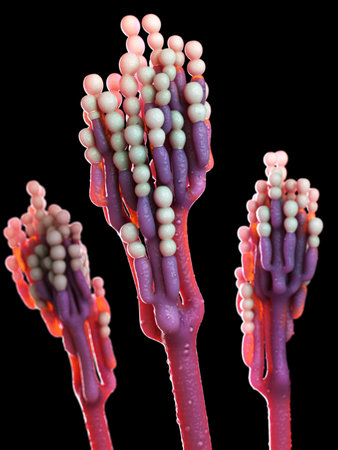 3d rendered illustration of the mold - penicillinum