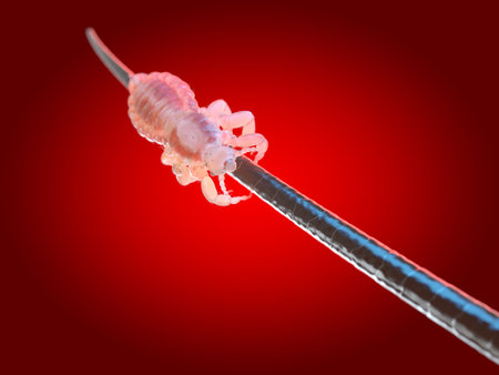 3d rendered illustration of a head louse