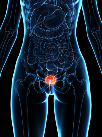 3d rendered medically accurate illustration of a diseased bladderの写真素材