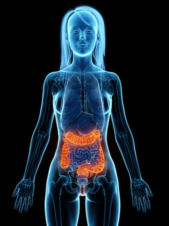 3d rendered medically accurate illustration of a diseased colonの写真素材