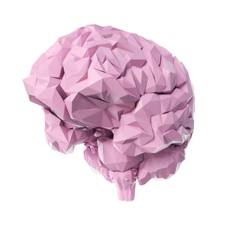 3d rendered medically accurate illustration of a poly style brainの写真素材
