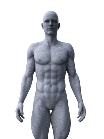 3d rendered medically accurate illustration of a ripped male model