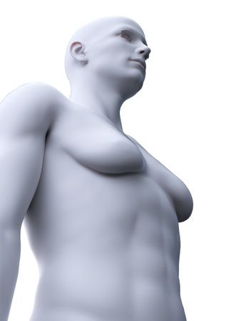 3d rendered medically accurate illustration of a male with gynecomastiaの写真素材