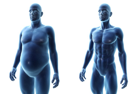 3d rendered medically accurate illustration of a comparision of a fit and obese maleの写真素材