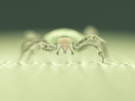 3d rendered medically accurate illustration of a tick - sem styleの写真素材
