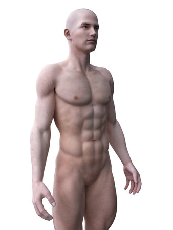 3d rendered medically accurate illustration of a ripped male modelの写真素材