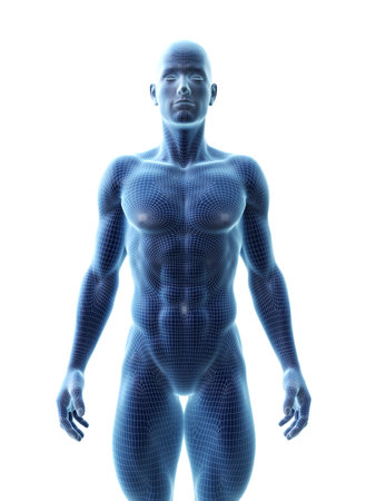 3d rendered medically accurate illustration of a ripped male model