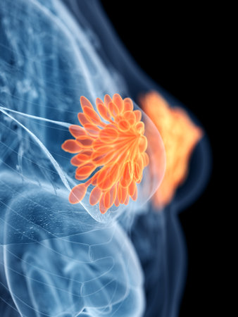 3d rendered medically accurate illustration of a womans mammary glandsの写真素材
