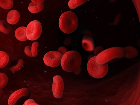 3d rendered medically accurate illustration of human blood cellsの写真素材