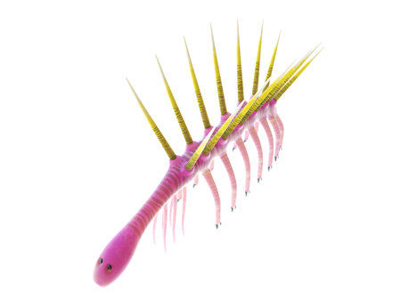 3d rendered illustration of a Hallucigeniaの写真素材