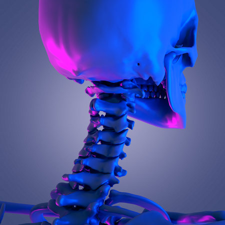 3d rendered abstract rendering of the cervical spine