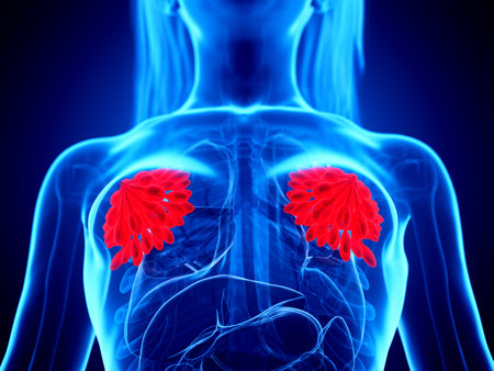 3d rendered medically accurate illustration of a womans mammary glandsの写真素材