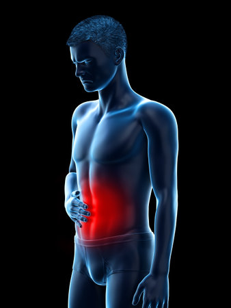3d rendered medically accurate illustration of a mans painful stomachの写真素材