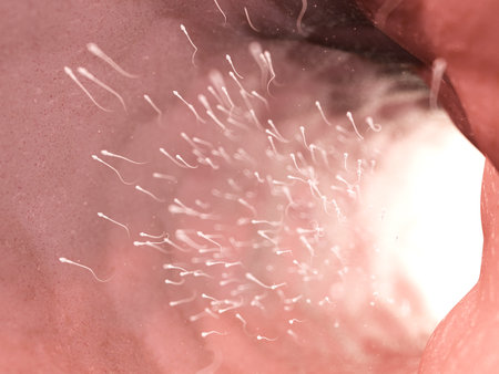 3d rendered illustration of a swarm of human spermの写真素材