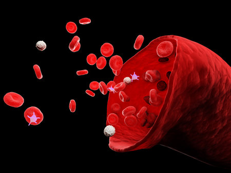 3d rendered medically accurate illustration of a human blood vesselの写真素材