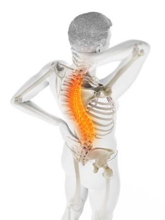 3d rendered medically accurate illustration of a man having acute back painの写真素材