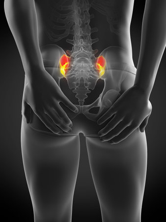 3d rendered medically accurate illustration of pain in the sacroiliac jointの写真素材