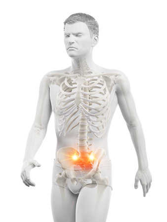 3d rendered medically accurate illustration of pain in the sacroiliac joint